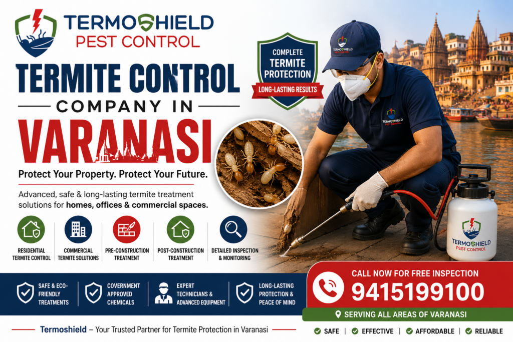 Termite Control Company in Varanasi