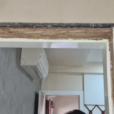 Termite Management & Control Services