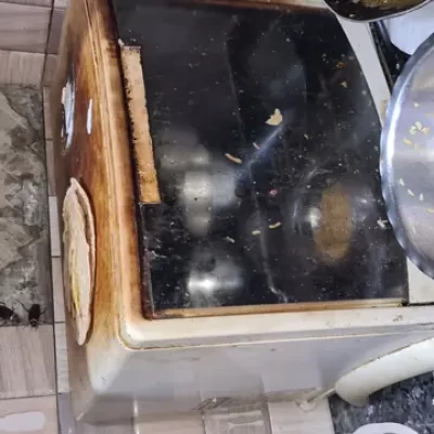 cockroach control services