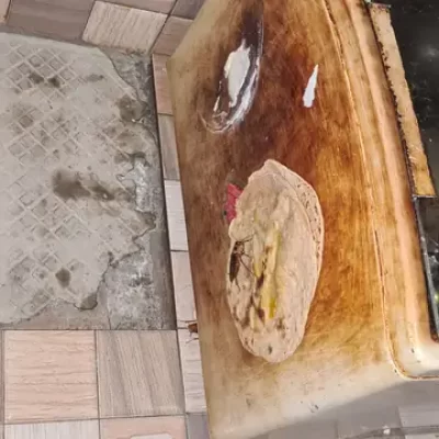 cockroach control services