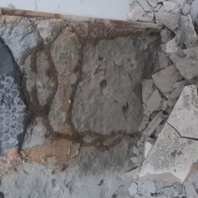 Termite Management & Control Services