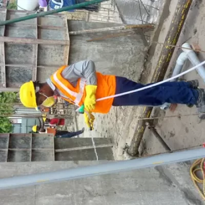 Detailed termite risk assessment and site inspection