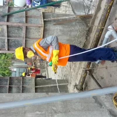 Detailed termite risk assessment and site inspection
