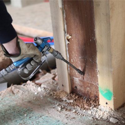 Termite Management & Control Services