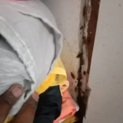 cockroach control services