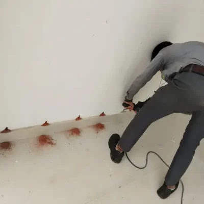 Termite Management & Control Services