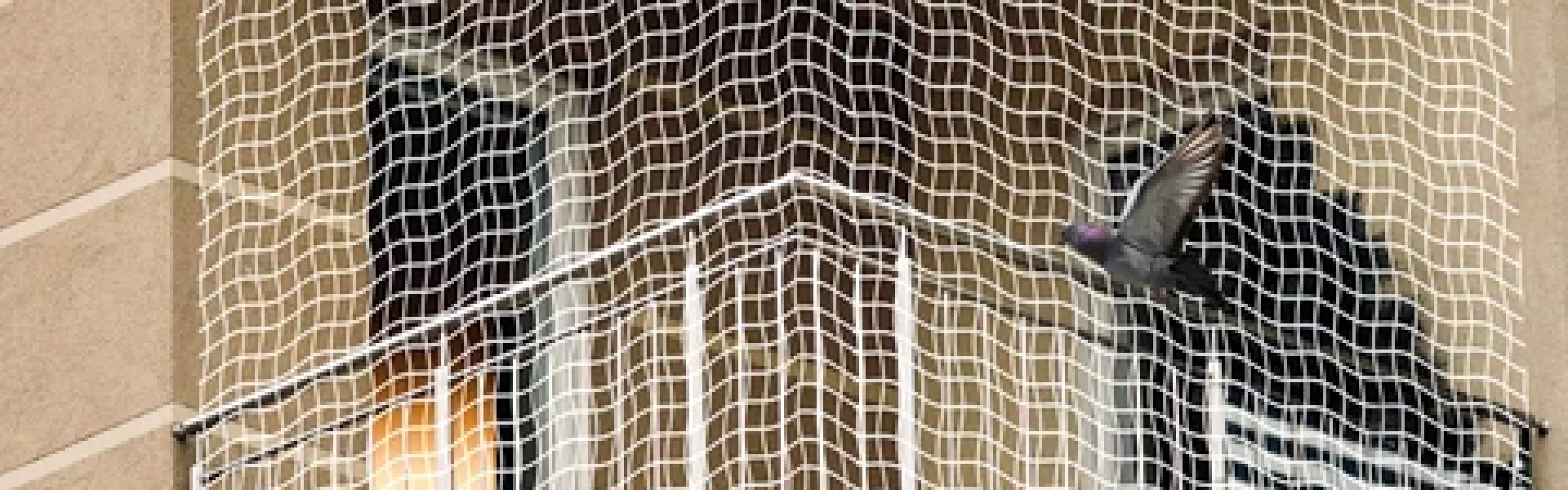 nylon-bird-net-for-balcony-child-protection-net-pigeon-anti-bird-original-imagx8ptxcfvpxm7